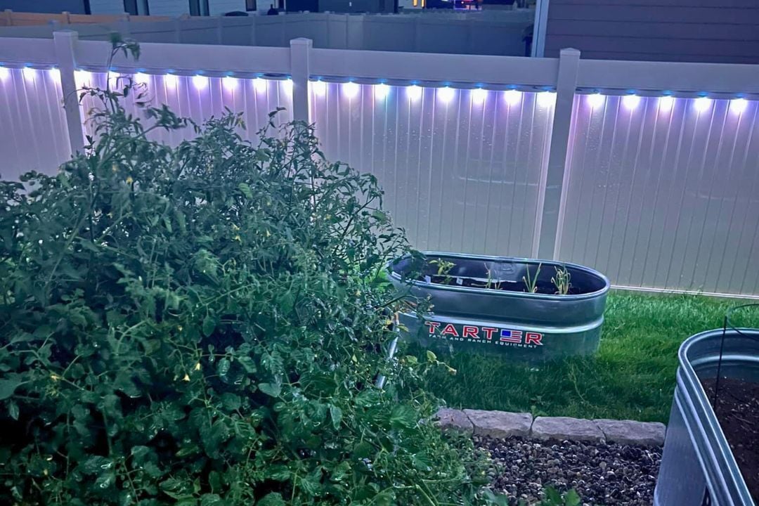 A closeup of a white fence with a big bush in front and garden bins. The fence has Trimlight installed in a cool white pattern.