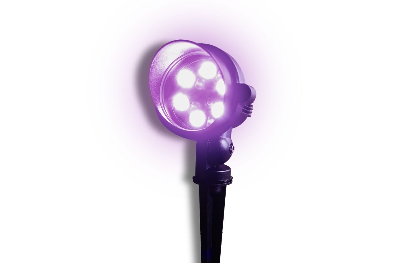 Landscape-light-purple-spotlight