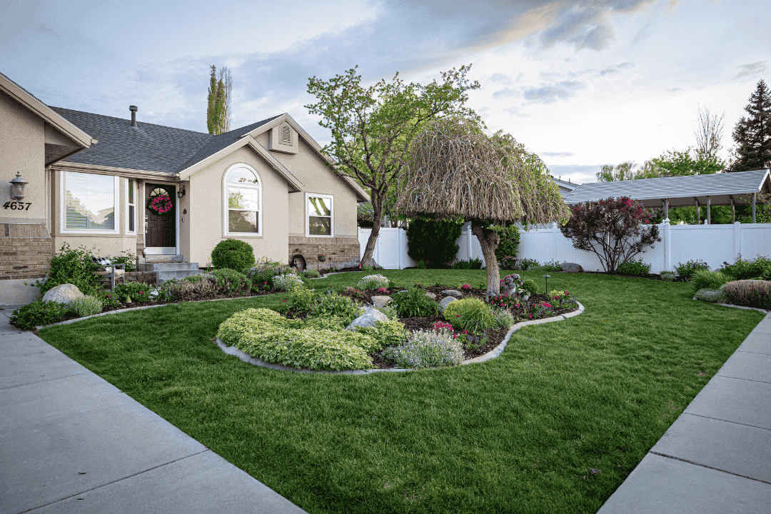 day-time-wide-shot-landscape-lighting