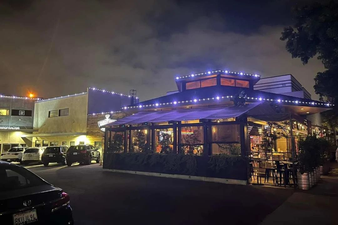 Clean Lines, Hidden Wires: Why Our Lighting Won’t Disrupt Your Commercial Aesthetic